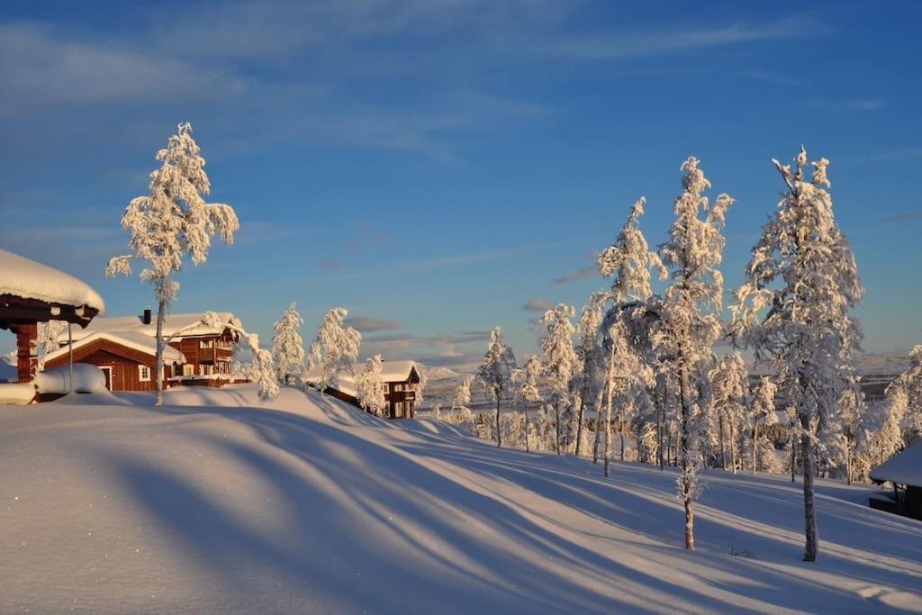 Flott Fritidsleilighet I Bualie Pa Golsfjellet Exteriér fotografie