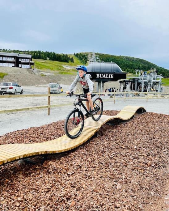 Flott Fritidsleilighet I Bualie Pa Golsfjellet Exteriér fotografie